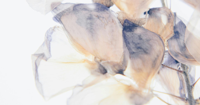 Set zum Freitag #413 – Iwamaki