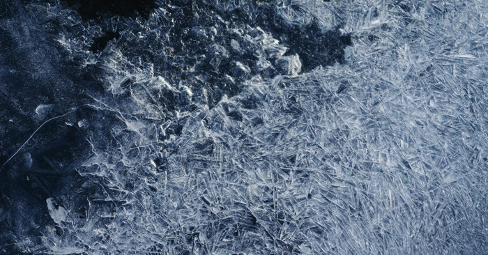 Set zum Freitag #420 – Blazej Malinowski