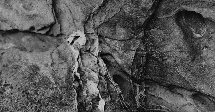 Set zum Freitag #425 – Dopplereffekt